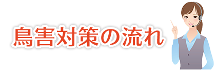 鳥害対策の流れ