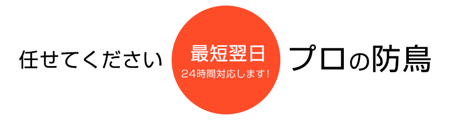 24時間対応