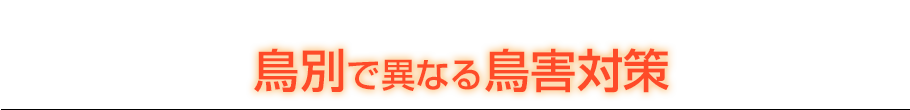 鳥別鳥害対策