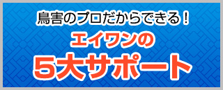 エイワンの5大サポート