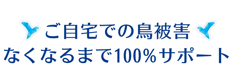 ご自宅での鳥被害