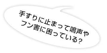 鳴声やフン害に