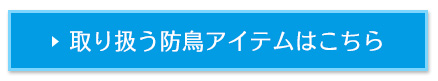 取り扱う防鳥アイテムはこちら