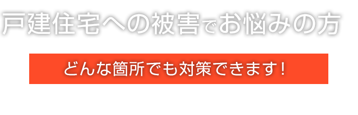 戸建住宅への被害