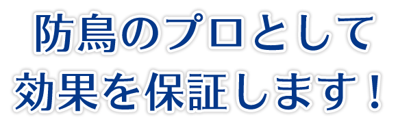 防鳥のプロとして