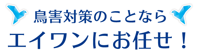 鳥害対策のことなら