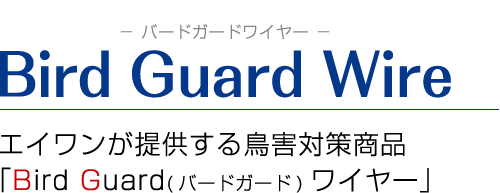 BGワイヤー
