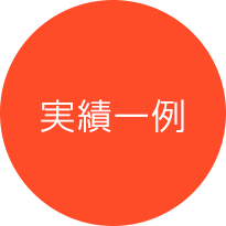 実績一例