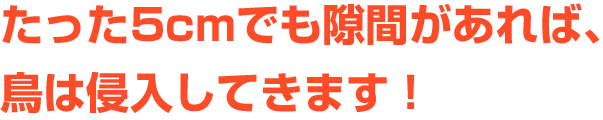 5cmでも隙間