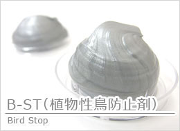 B-ST