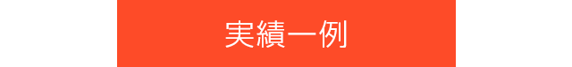 実績一例