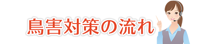 鳥害対策の流れ
