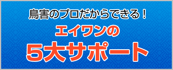 エイワンの5大サポート