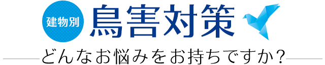 鳥害対策どんなお悩みをお持ちですか？