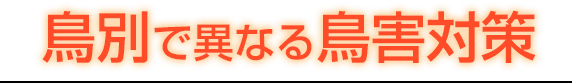 鳥別で異なる鳥害対策