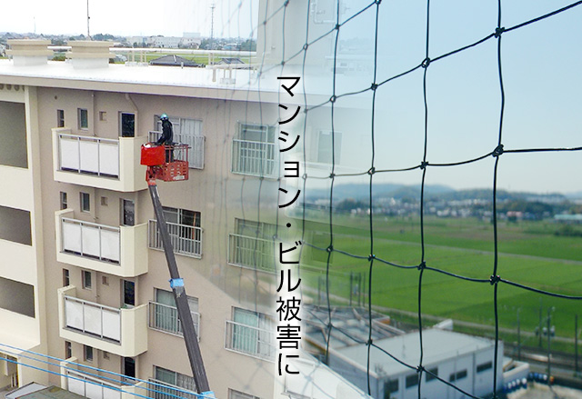 マンション・ビル被害に