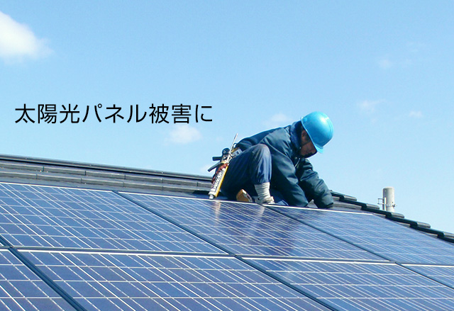 太陽光パネル被害に