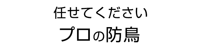 任せてください！プロの防鳥
