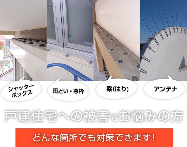 戸建住宅への被害でお悩みの方