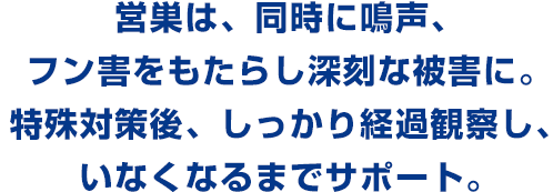 経過観察 サポート。