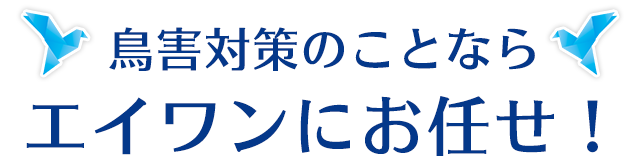 鳥害対策のことならエイワンにお任せ！