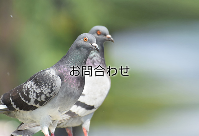 お問合わせ