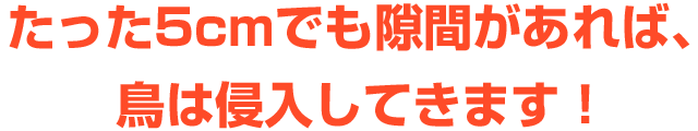 たった5cmでも隙間があれば