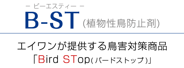 ビーエスティー