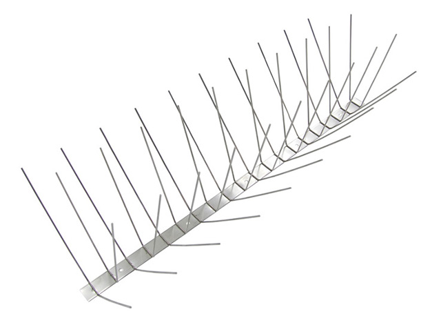 ワイド